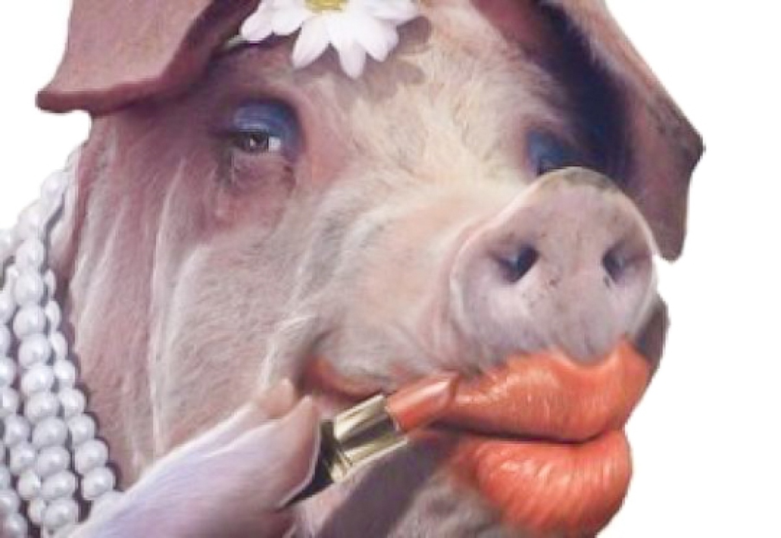 lipstick-on-a-pig-1